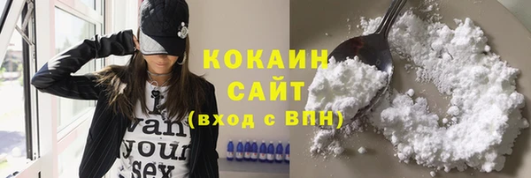 амф Кукмор