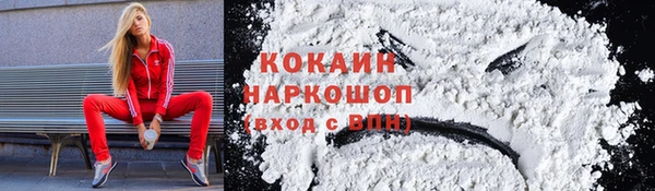 амф Кукмор
